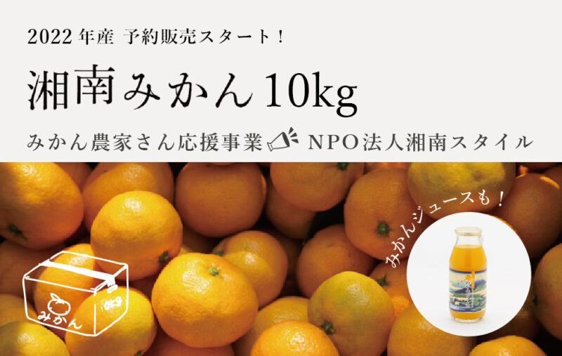 湘南みかん