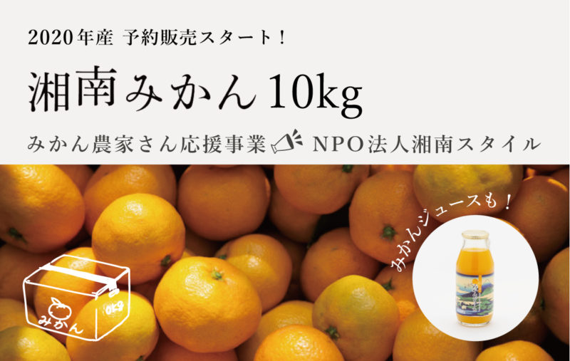 湘南みかん