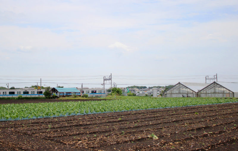 湘南佐藤農園