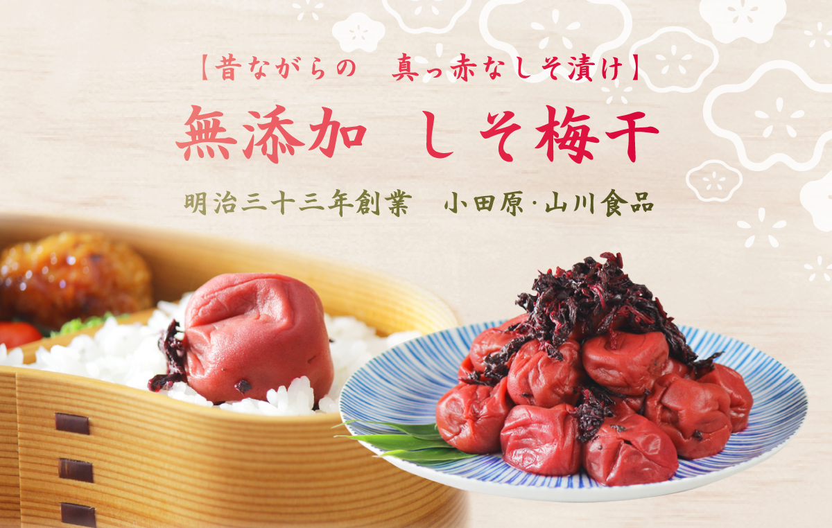 shisoumeboshi_main_TG02 しそ梅干し