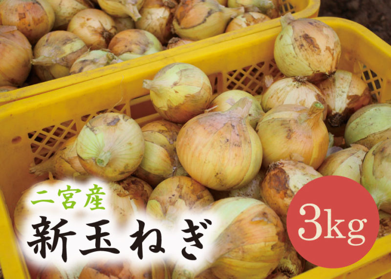 新玉ねぎ
