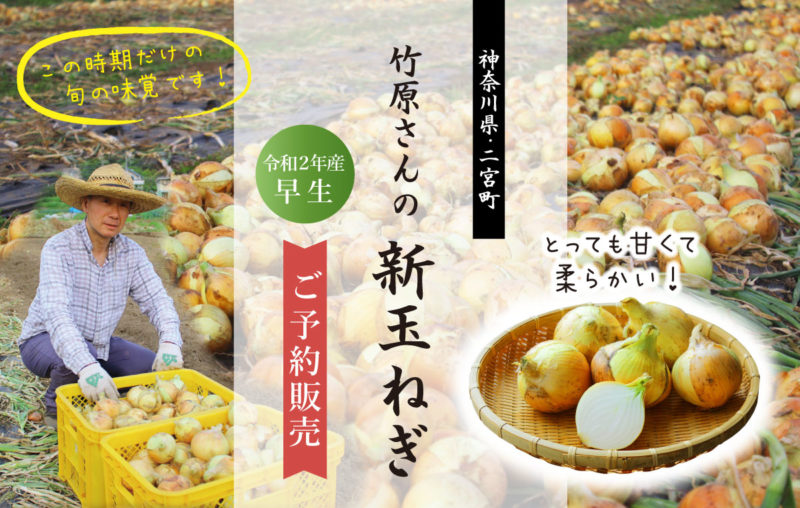 新たまねぎ