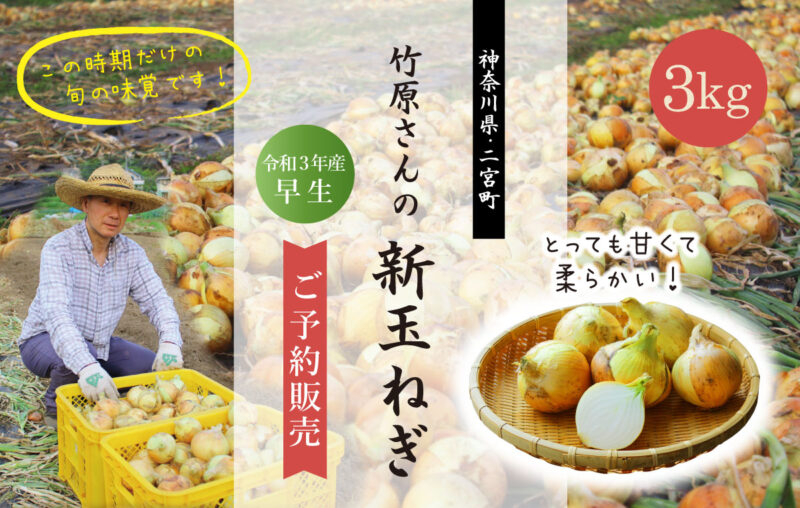 shinatama2021-main02 新玉ねぎ