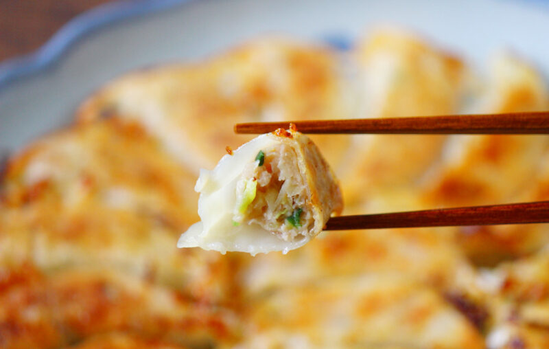 特製餃子