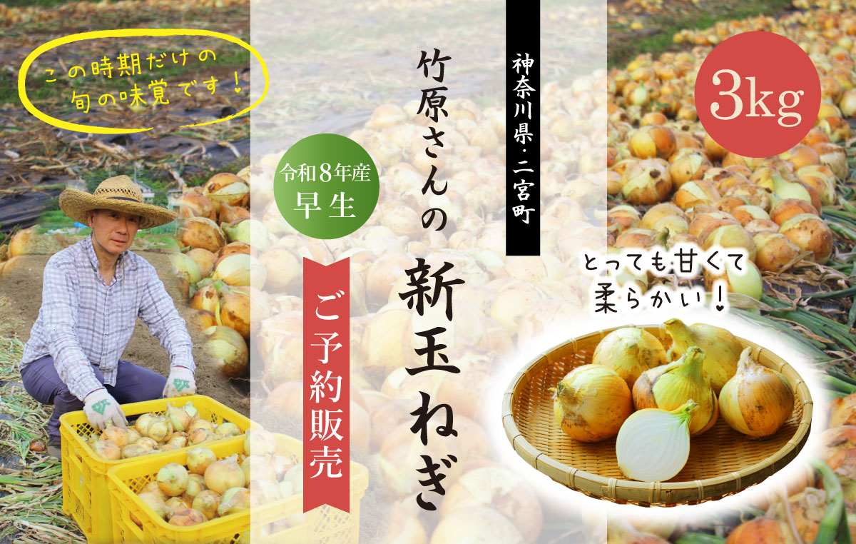 新玉ねぎ