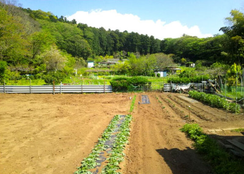 北鎌倉菜園