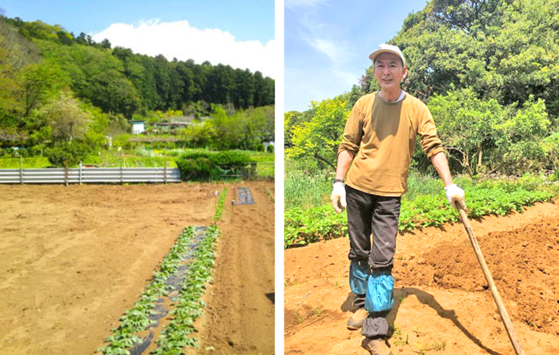 北鎌倉菜園
