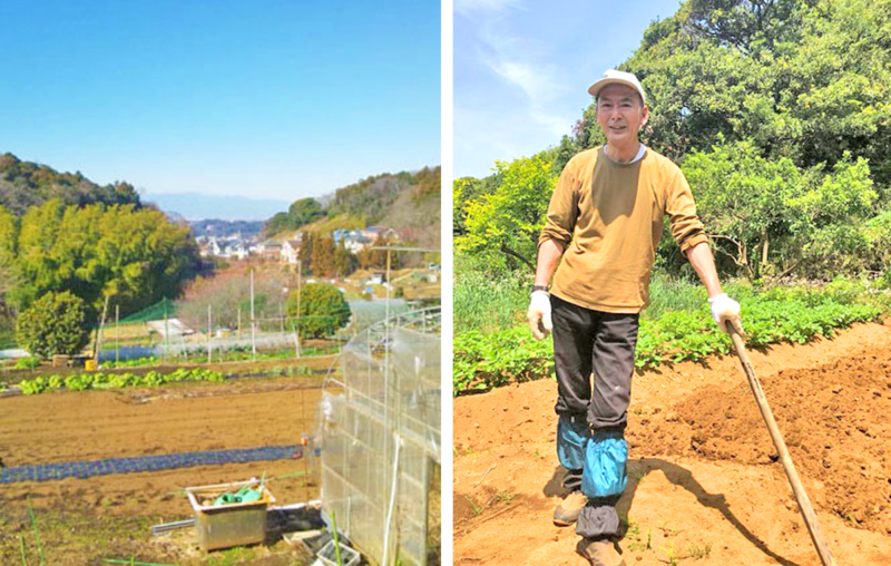 鎌倉辣油