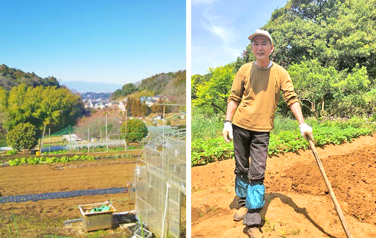 鎌倉辣油