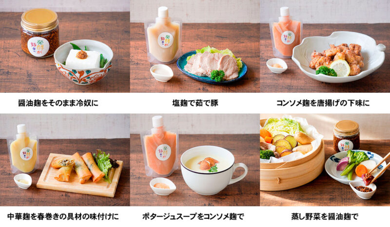 発酵が好き